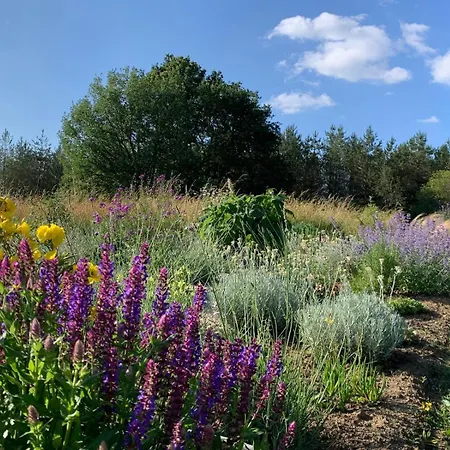 Ferienhaus Les Sur La Colline - 28 M2 One Bedroom With Shared Pool *