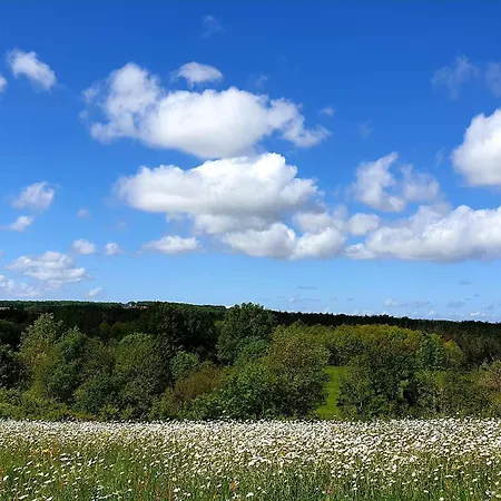 Les Sur La Colline - 28 M2 One Bedroom With Shared Pool Ferienhaus *