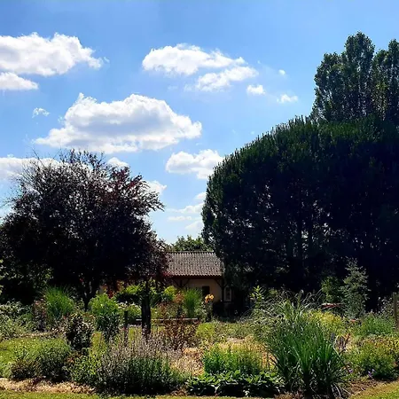 Les Sur La Colline - 28 M2 One Bedroom With Shared Pool Holiday home *