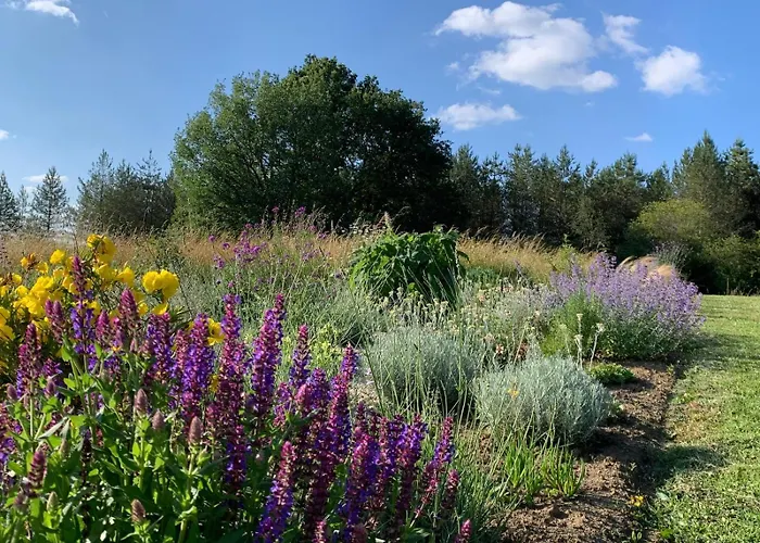 Ferienhaus Les Sur La Colline - 28 M2 One Bedroom With Shared Pool *