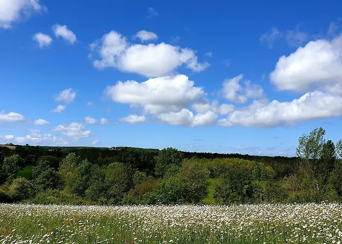 Les Sur La Colline - 28 M2 One Bedroom With Shared Pool Ferienhaus *