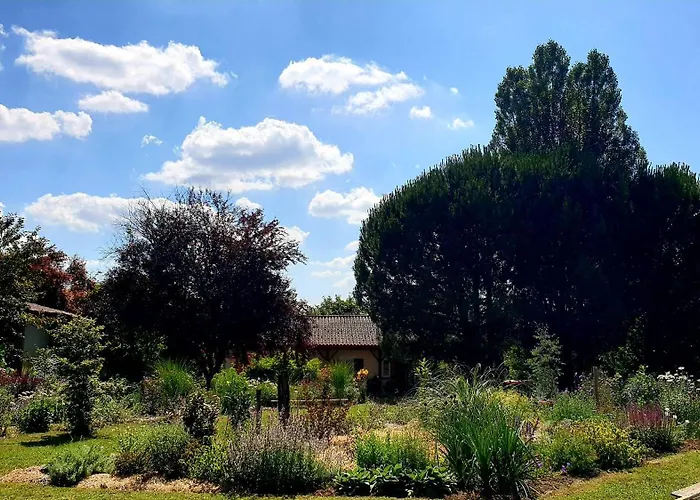 Les Sur La Colline - 28 M2 One Bedroom With Shared Pool Ferienhaus *