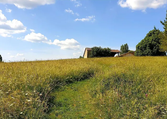 Ferienhaus Les Sur La Colline - 28 M2 One Bedroom With Shared Pool *